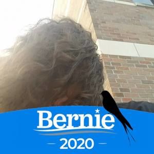 Meet your Posher, Joey